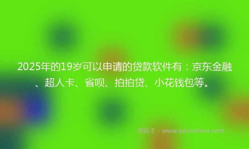 2025年的19岁可以申请的贷款软件有：京东金融、超人卡、省呗、拍拍贷、小花钱包等。