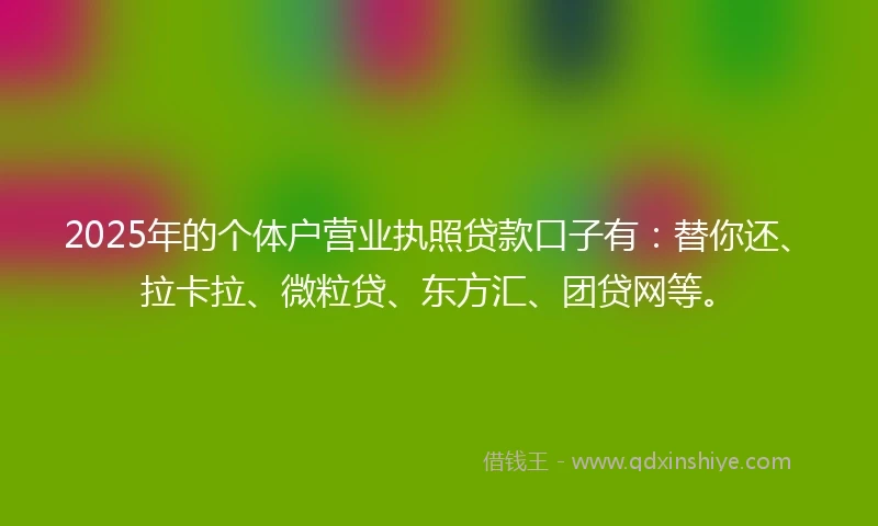 2025年的个体户营业执照贷款口子有：替你还、拉卡拉、微粒贷、东方汇、团贷网等。