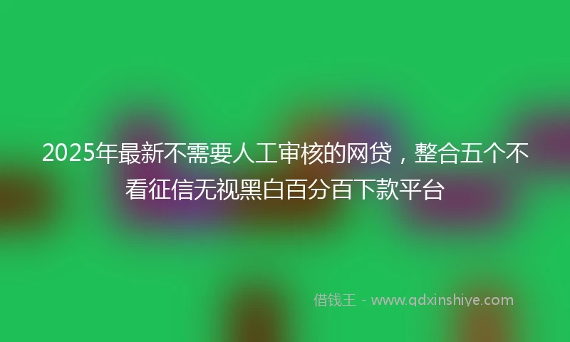 2025年最新不需要人工审核的网贷，整合五个不看征信无视黑白百分百下款平台