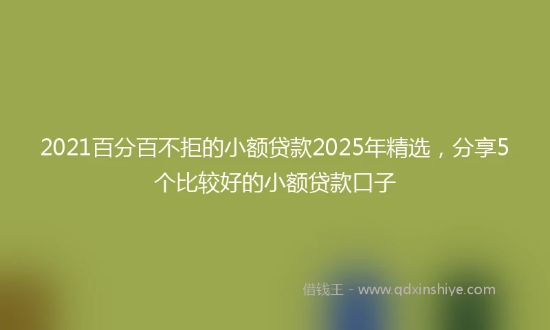 2021百分百不拒的小额贷款2025年精选，分享5个比较好的小额贷款口子