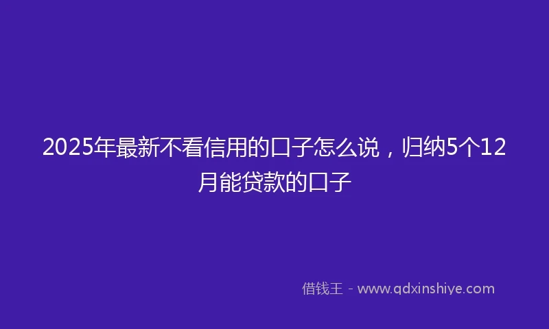 2025年最新不看信用的口子怎么说，归纳5个12月能贷款的口子