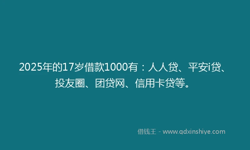 2025年的17岁借款1000有：人人贷、平安i贷、投友圈、团贷网、信用卡贷等。