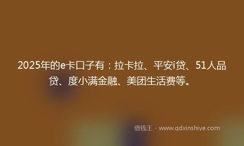 2025年的e卡口子有：拉卡拉、平安i贷、51人品贷、度小满金融、美团生活费等。