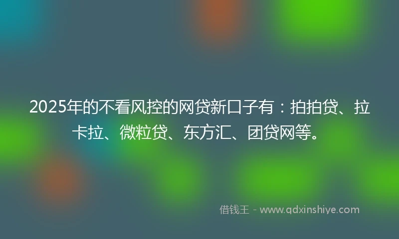 2025年的不看风控的网贷新口子有：拍拍贷、拉卡拉、微粒贷、东方汇、团贷网等。