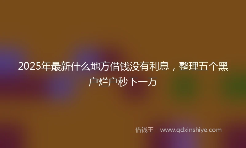 2025年最新什么地方借钱没有利息，整理五个黑户烂户秒下一万