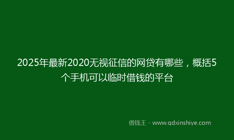 2025年最新2020无视征信的网贷有哪些，概括5个手机可以临时借钱的平台