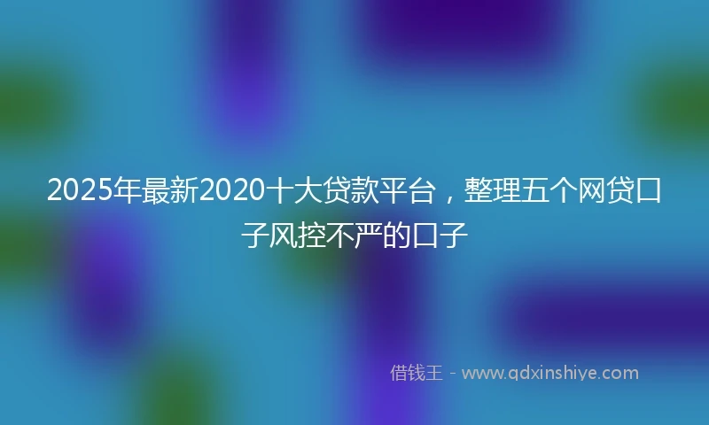 2025年最新2020十大贷款平台，整理五个网贷口子风控不严的口子