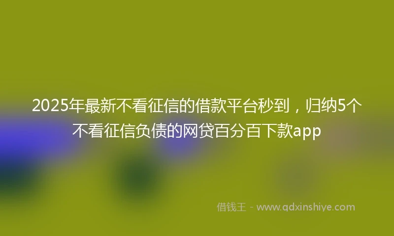 2025年最新不看征信的借款平台秒到，归纳5个不看征信负债的网贷百分百下款app