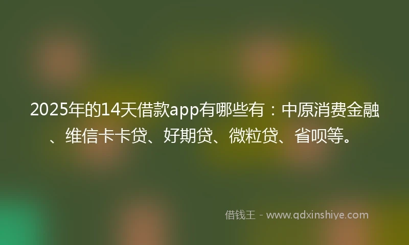 2025年的14天借款app有哪些有：中原消费金融、维信卡卡贷、好期贷、微粒贷、省呗等。