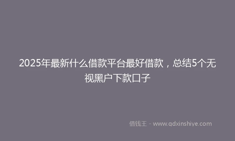 2025年最新什么借款平台最好借款，总结5个无视黑户下款口子