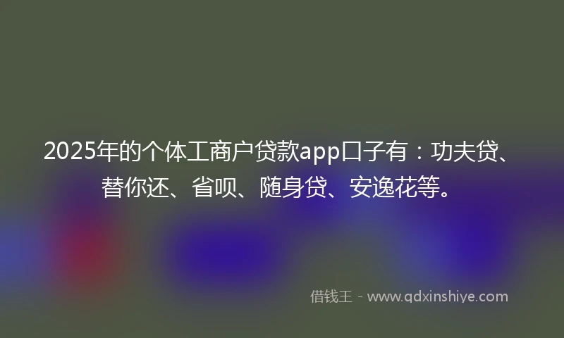 2025年的个体工商户贷款app口子有：功夫贷、替你还、省呗、随身贷、安逸花等。