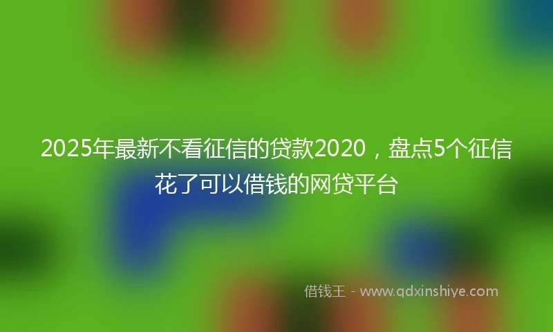 2025年最新不看征信的贷款2020，盘点5个征信花了可以借钱的网贷平台