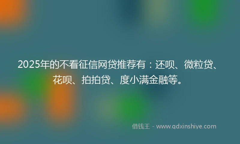 2025年的不看征信网贷推荐有：还呗、微粒贷、花呗、拍拍贷、度小满金融等。