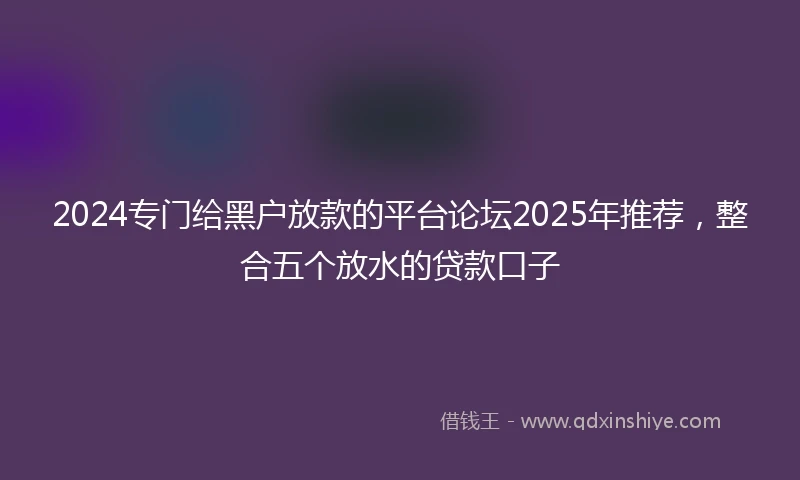 2024专门给黑户放款的平台论坛2025年推荐，整合五个放水的贷款口子