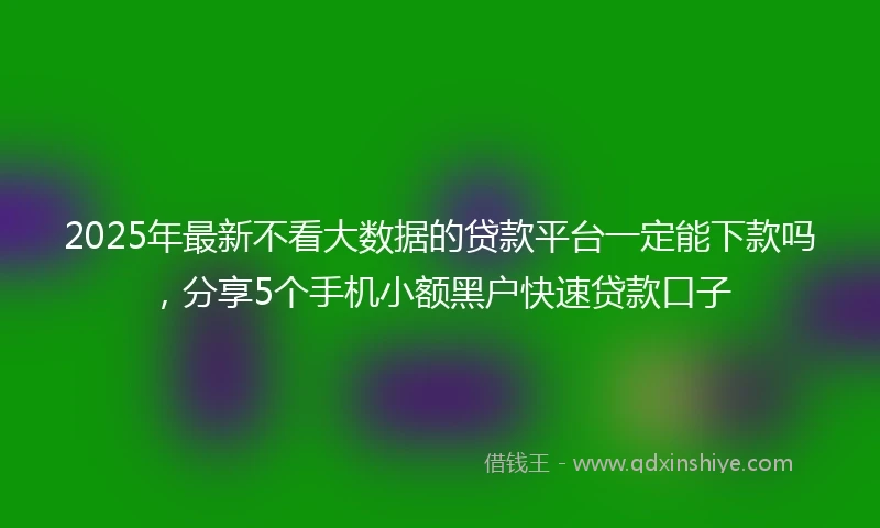 2025年最新不看大数据的贷款平台一定能下款吗，分享5个手机小额黑户快速贷款口子