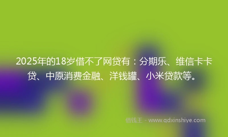 2025年的18岁借不了网贷有：分期乐、维信卡卡贷、中原消费金融、洋钱罐、小米贷款等。