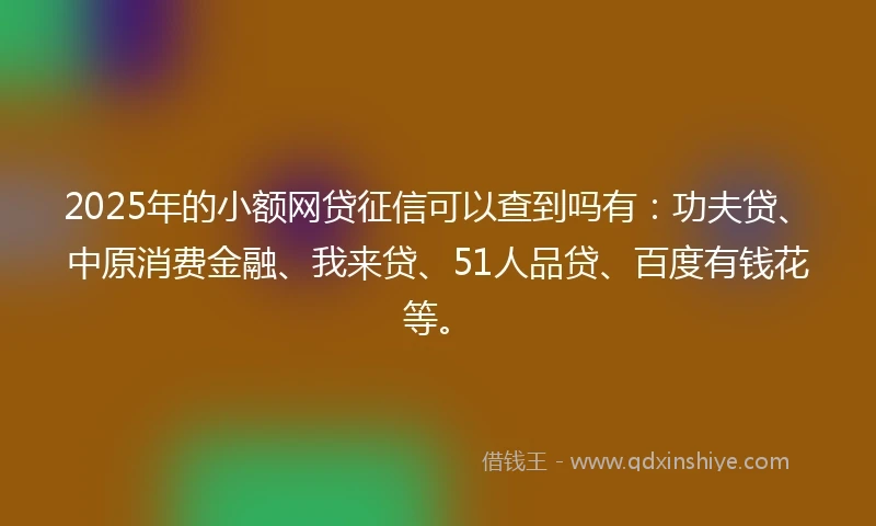 2025年的小额网贷征信可以查到吗有：功夫贷、中原消费金融、我来贷、51人品贷、百度有钱花等。