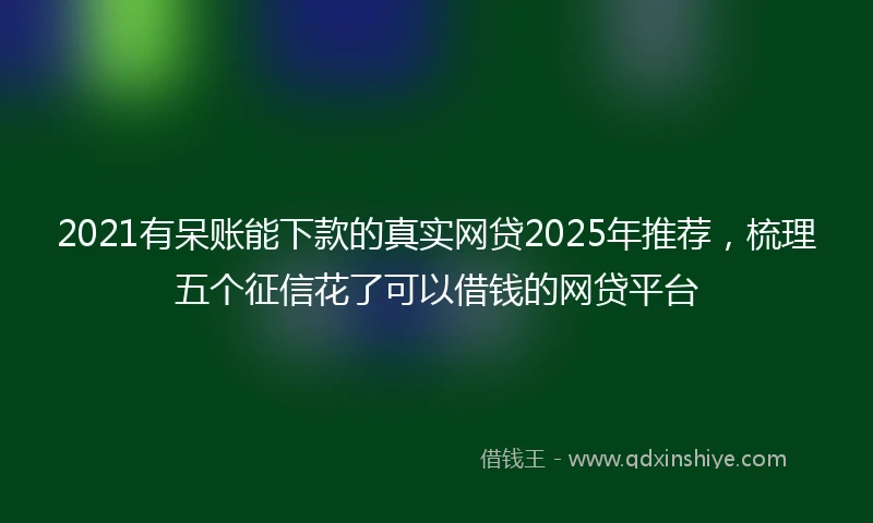 2021有呆账能下款的真实网贷2025年推荐，梳理五个征信花了可以借钱的网贷平台
