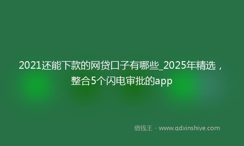 2021还能下款的网贷口子有哪些_2025年精选，整合5个闪电审批的app