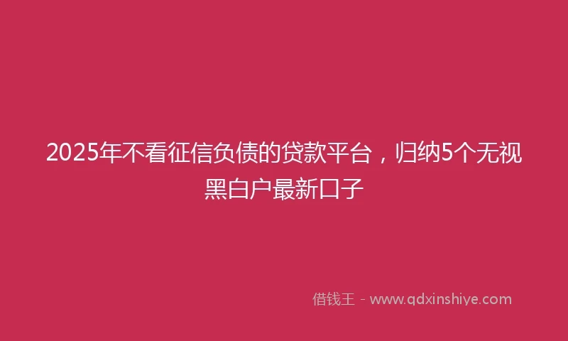 2025年不看征信负债的贷款平台，归纳5个无视黑白户最新口子