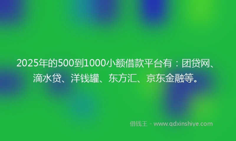 2025年的500到1000小额借款平台有：团贷网、滴水贷、洋钱罐、东方汇、京东金融等。