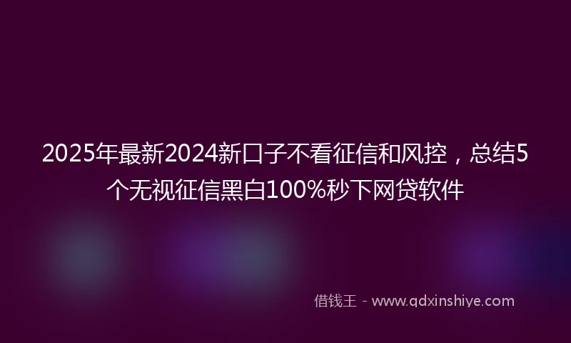 2025年最新2024新口子不看征信和风控，总结5个无视征信黑白100%秒下网贷软件