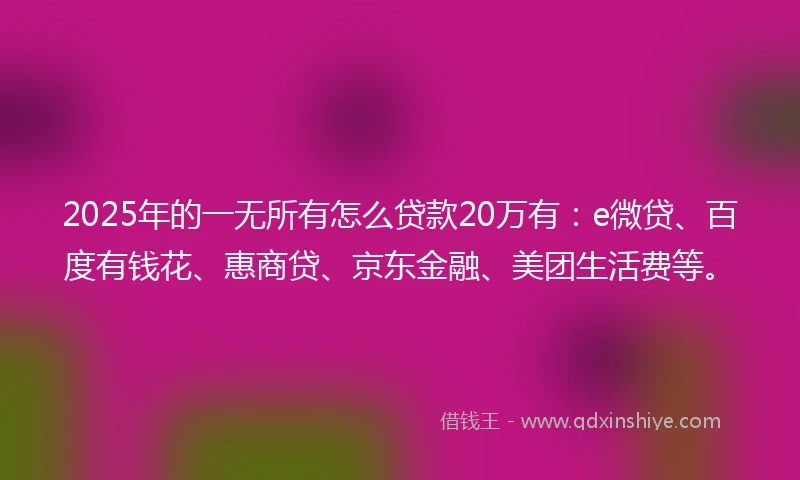 2025年的一无所有怎么贷款20万有：e微贷、百度有钱花、惠商贷、京东金融、美团生活费等。