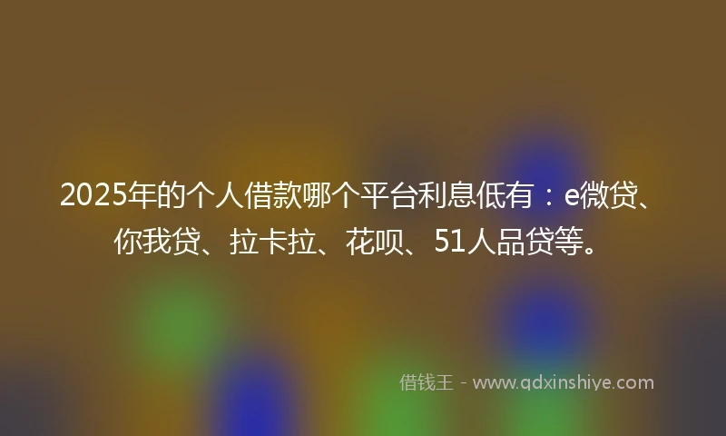 2025年的个人借款哪个平台利息低有：e微贷、你我贷、拉卡拉、花呗、51人品贷等。
