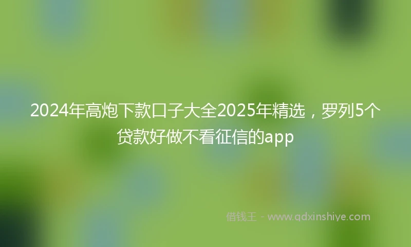 2024年高炮下款口子大全2025年精选，罗列5个贷款好做不看征信的app