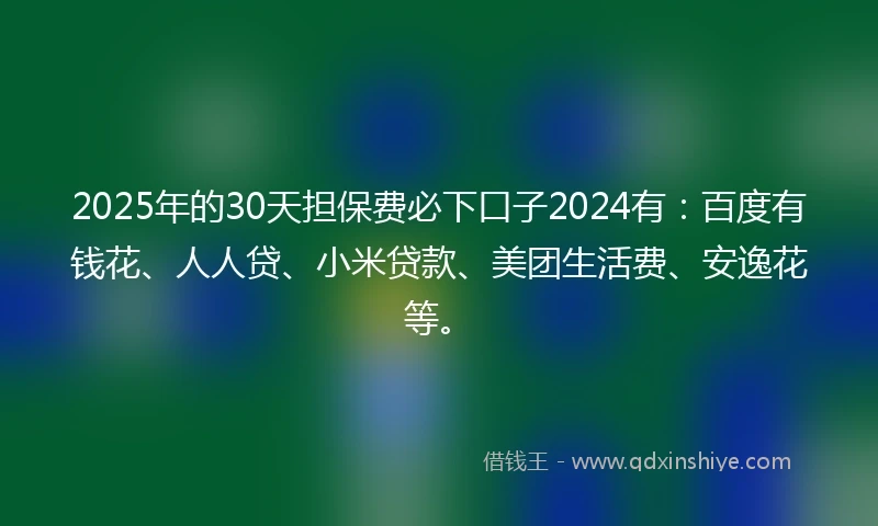 2025年的30天担保费必下口子2024有：百度有钱花、人人贷、小米贷款、美团生活费、安逸花等。