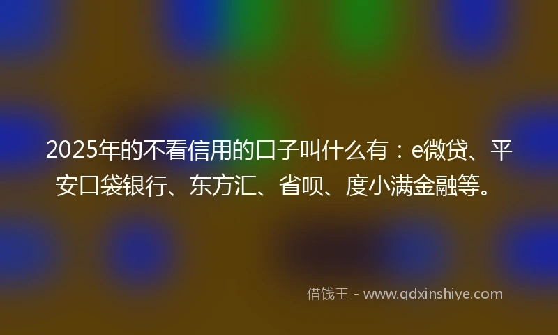 2025年的不看信用的口子叫什么有：e微贷、平安口袋银行、东方汇、省呗、度小满金融等。