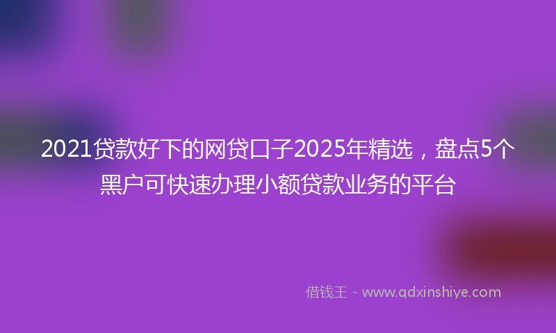 2021贷款好下的网贷口子2025年精选，盘点5个黑户可快速办理小额贷款业务的平台