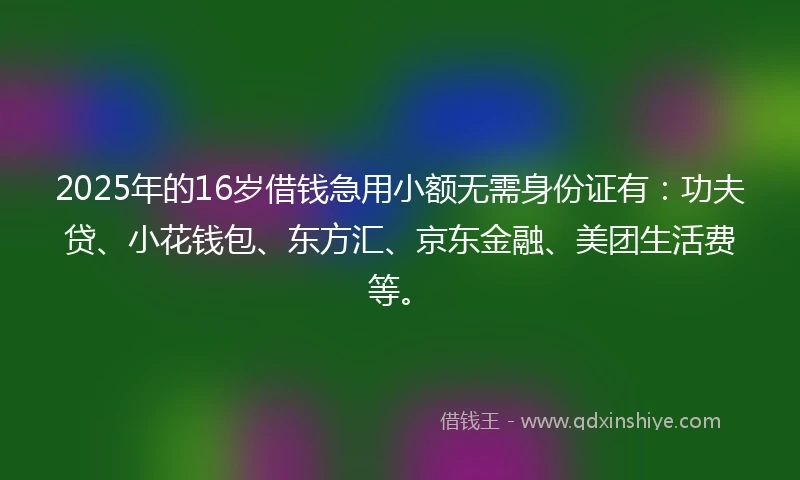 2025年的16岁借钱急用小额无需身份证有：功夫贷、小花钱包、东方汇、京东金融、美团生活费等。