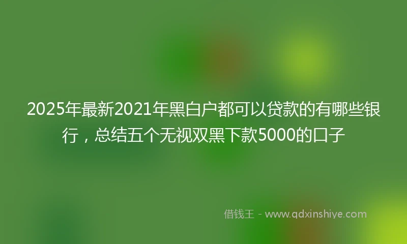 2025年最新2021年黑白户都可以贷款的有哪些银行，总结五个无视双黑下款5000的口子