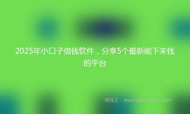 2025年小口子借钱软件，分享5个最新能下来钱的平台