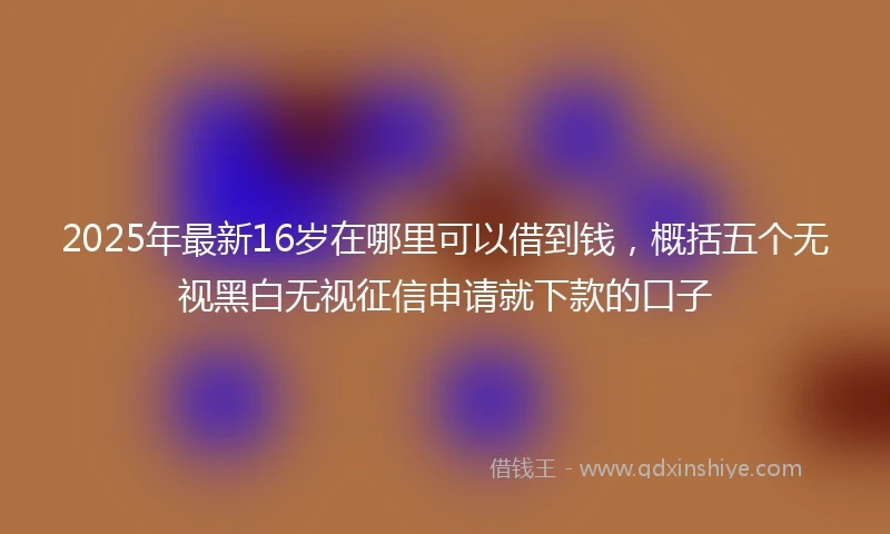 2025年最新16岁在哪里可以借到钱，概括五个无视黑白无视征信申请就下款的口子