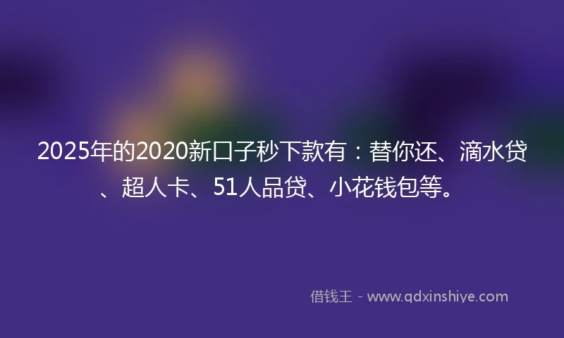 2025年的2020新口子秒下款有：替你还、滴水贷、超人卡、51人品贷、小花钱包等。