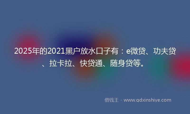 2025年的2021黑户放水口子有：e微贷、功夫贷、拉卡拉、快贷通、随身贷等。