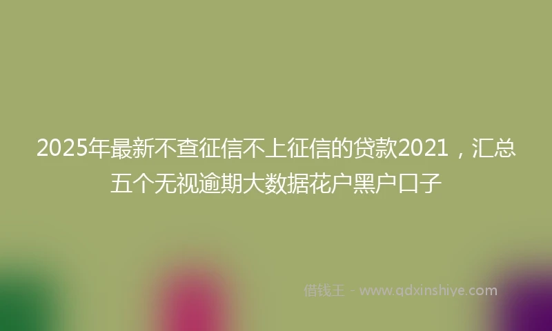2025年最新不查征信不上征信的贷款2021，汇总五个无视逾期大数据花户黑户口子