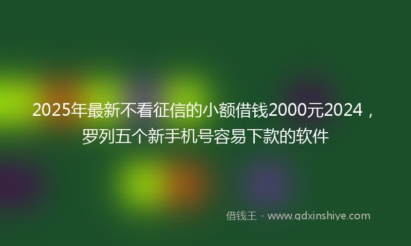 2025年最新不看征信的小额借钱2000元2024，罗列五个新手机号容易下款的软件