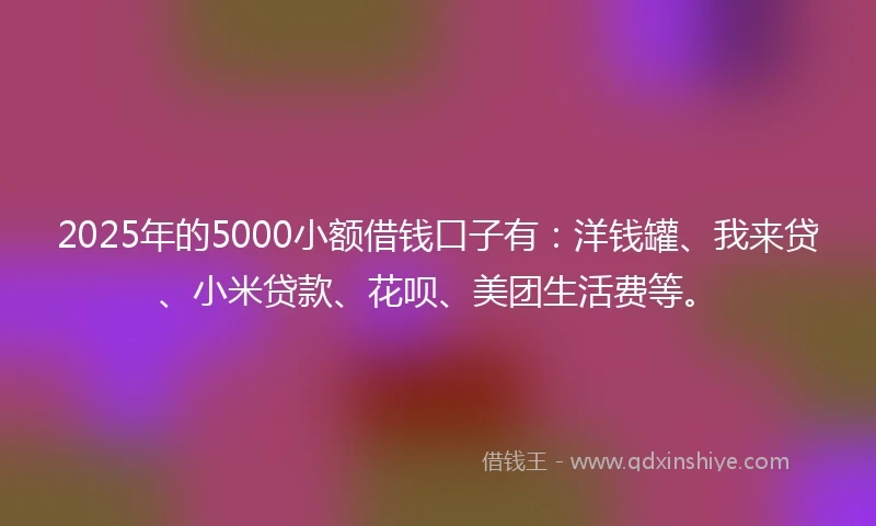 2025年的5000小额借钱口子有：洋钱罐、我来贷、小米贷款、花呗、美团生活费等。