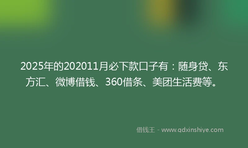 2025年的202011月必下款口子有：随身贷、东方汇、微博借钱、360借条、美团生活费等。