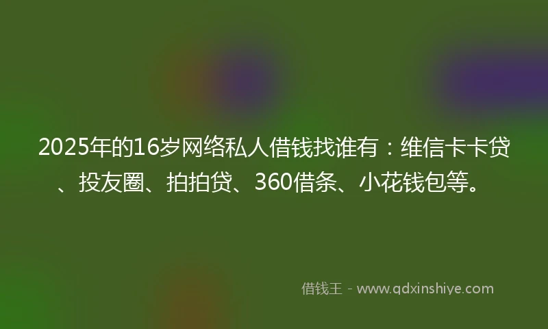 2025年的16岁网络私人借钱找谁有：维信卡卡贷、投友圈、拍拍贷、360借条、小花钱包等。