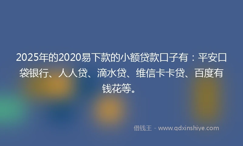 2025年的2020易下款的小额贷款口子有：平安口袋银行、人人贷、滴水贷、维信卡卡贷、百度有钱花等。