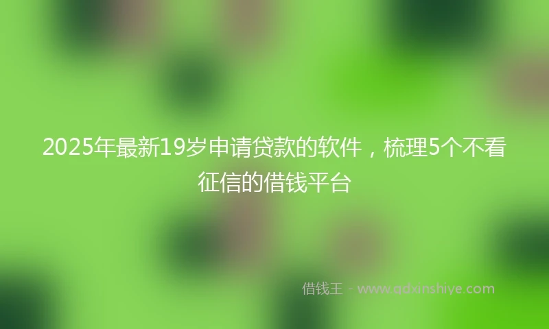 2025年最新19岁申请贷款的软件，梳理5个不看征信的借钱平台