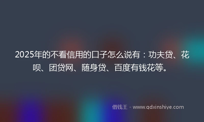 2025年的不看信用的口子怎么说有：功夫贷、花呗、团贷网、随身贷、百度有钱花等。
