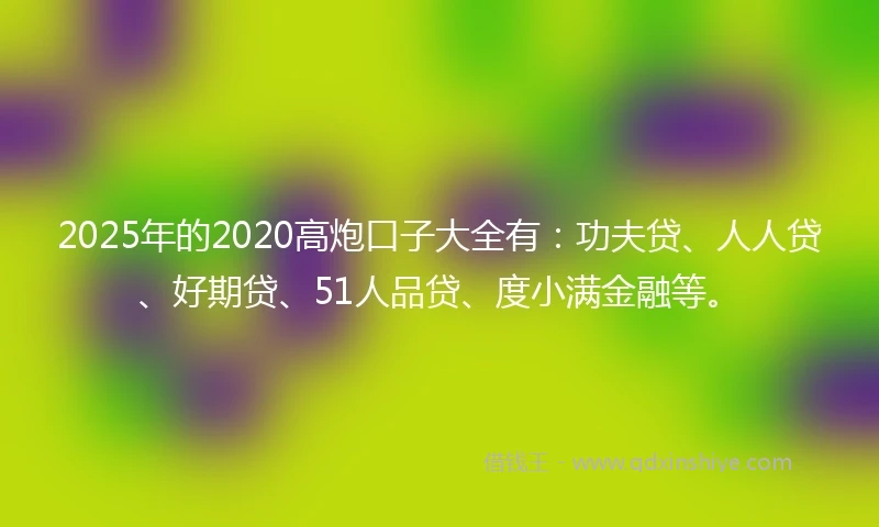 2025年的2020高炮口子大全有：功夫贷、人人贷、好期贷、51人品贷、度小满金融等。