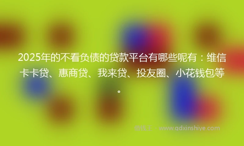 2025年的不看负债的贷款平台有哪些呢有：维信卡卡贷、惠商贷、我来贷、投友圈、小花钱包等。