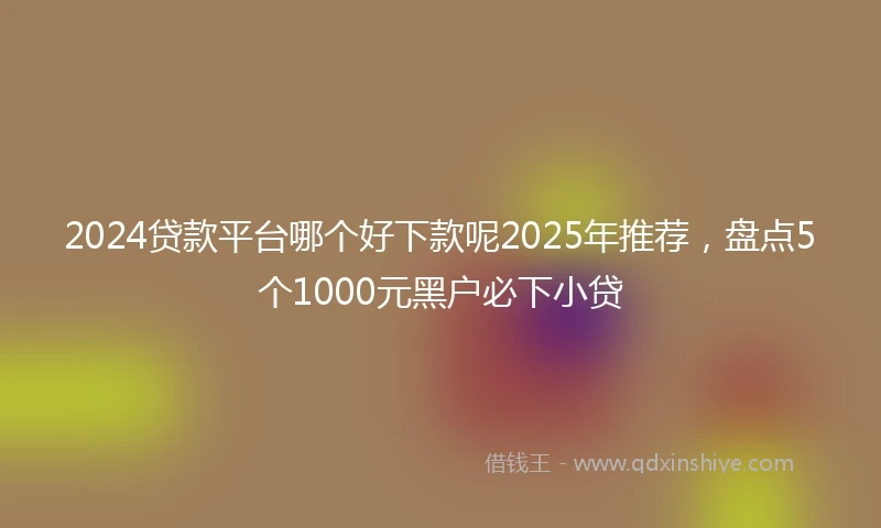 2024贷款平台哪个好下款呢2025年推荐，盘点5个1000元黑户必下小贷