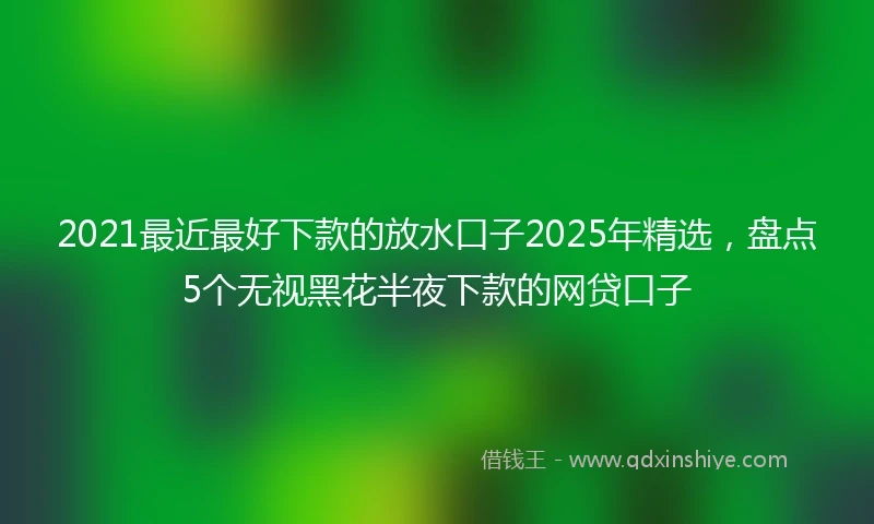 2021最近最好下款的放水口子2025年精选，盘点5个无视黑花半夜下款的网贷口子